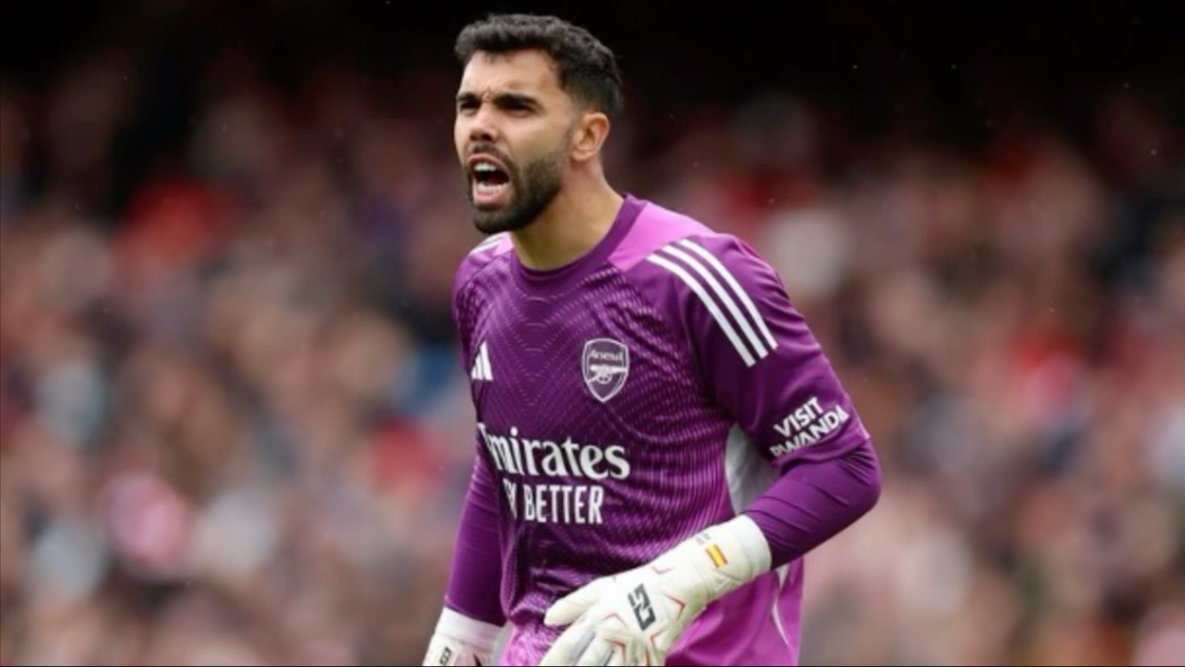 阿森纳前门将 阿森纳前门将